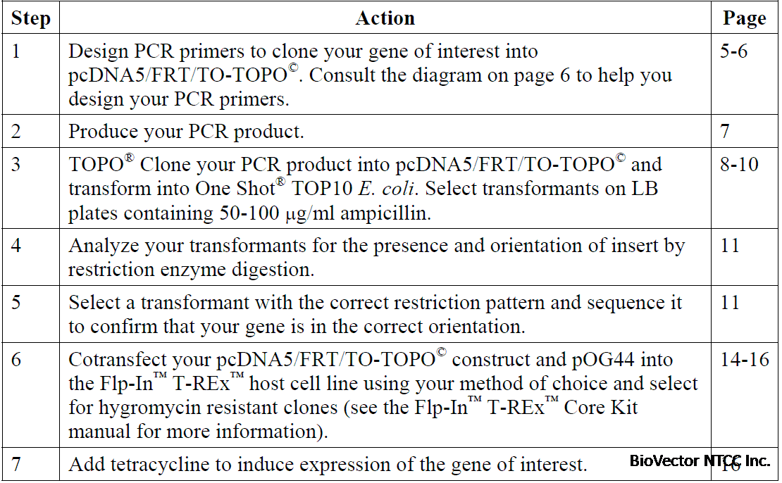 pcDNA5-FRT-TO-TOPO 使用流程.gif