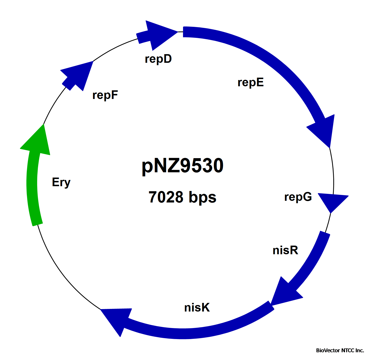 pNZ9530.png